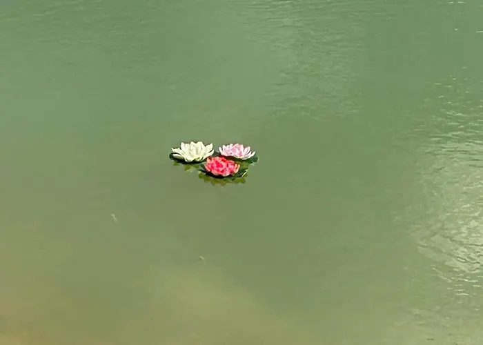 Kwatera prywatna Valgemaja Majutus Restu